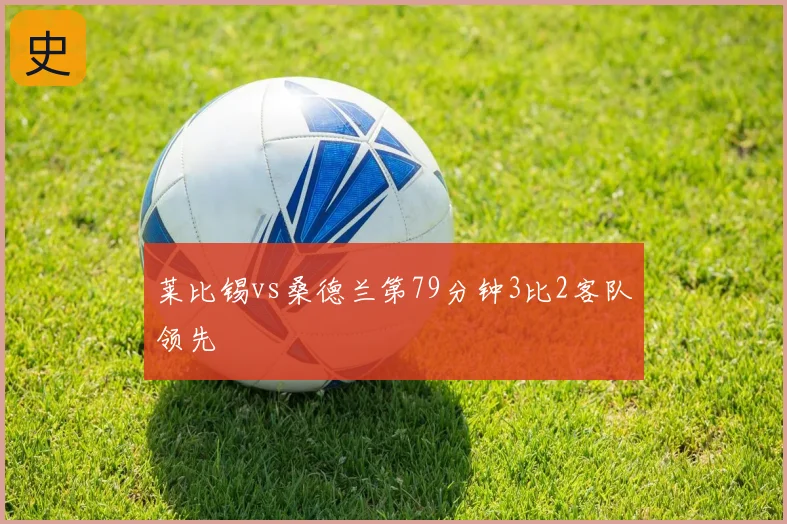 莱比锡vs桑德兰第79分钟3比2客队领先